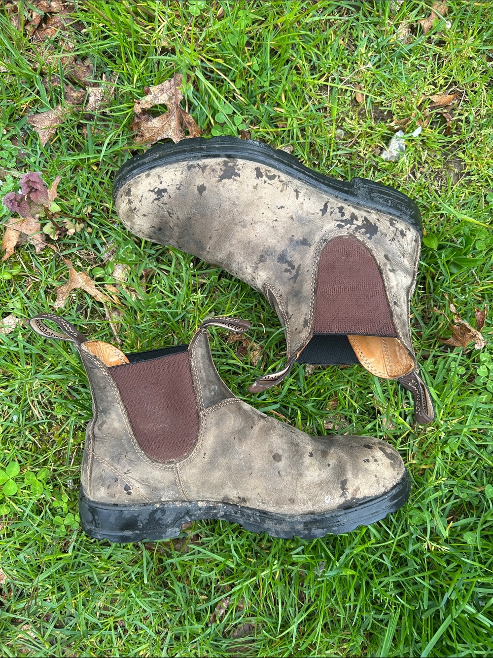 Blundstone 585 (classics) - rustic brown